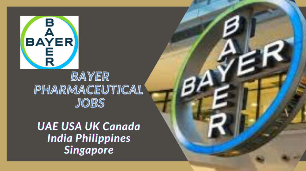 Bayer Job Vacancy