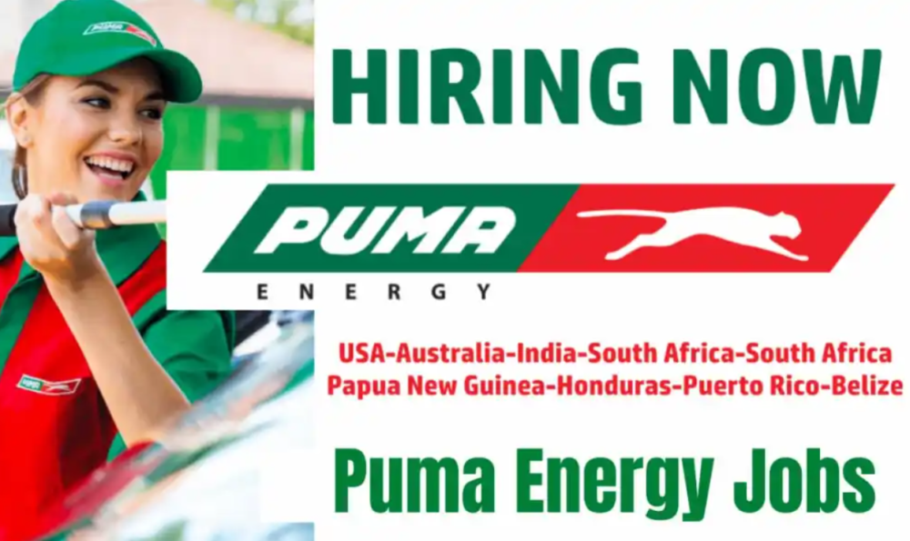 Puma Energy Jobs India