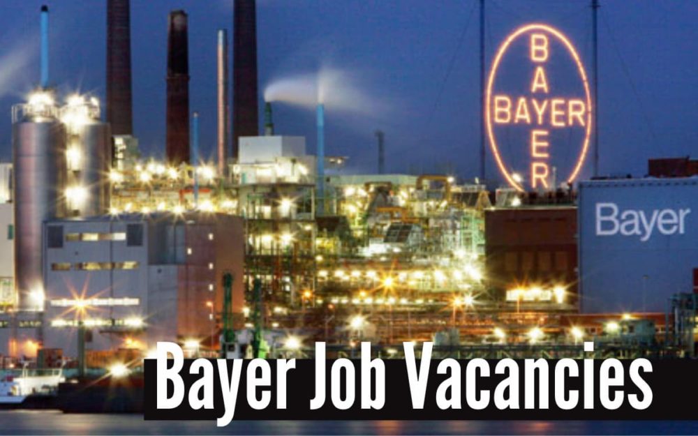 Bayer Job Vacancies