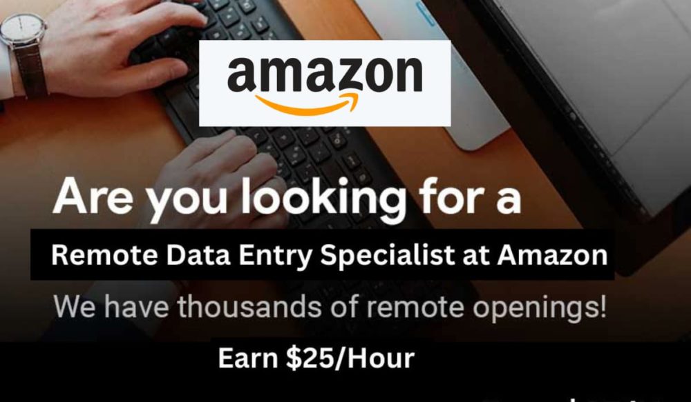 Remote Data Entry Specialist