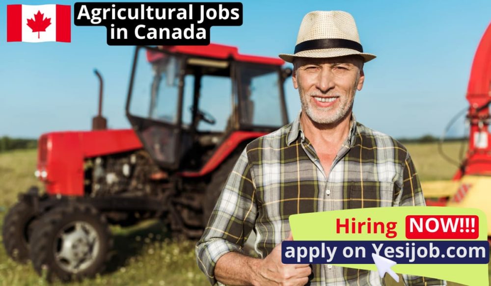 Agriculture Jobs in Canada